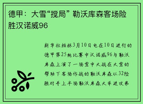 德甲:大雪“搅局” 勒沃库森客场险胜汉诺威96