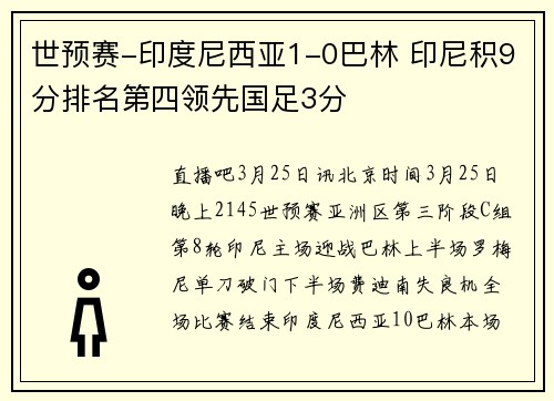 世预赛-印度尼西亚1-0巴林 印尼积9分排名第四领先国足3分