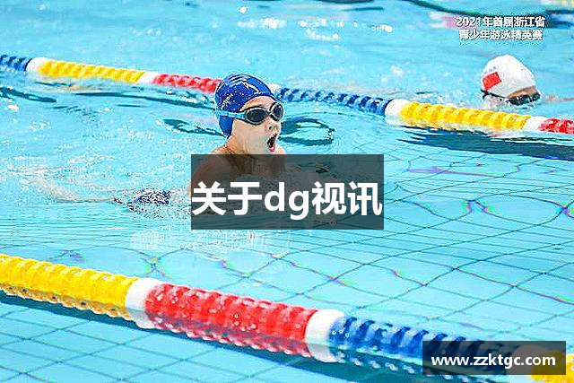 关于dg视讯